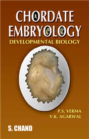 Chordate Embryology