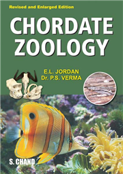 Chordate Zoology