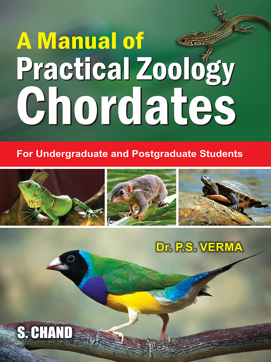 A Manual of Practical Zoology: Chordates