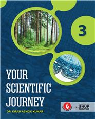 Your Scientific Journey