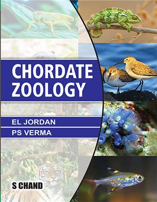 Chordate Zoology