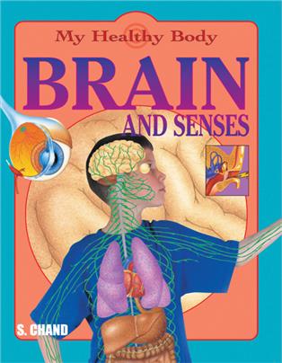 Brain and Senses