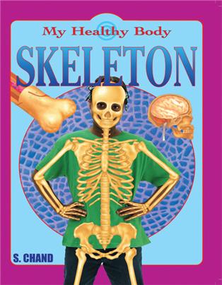 Skeleton