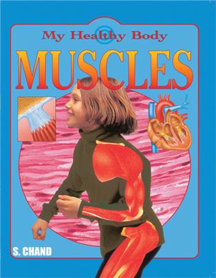 Muscles
