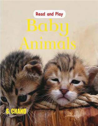 Baby Animals