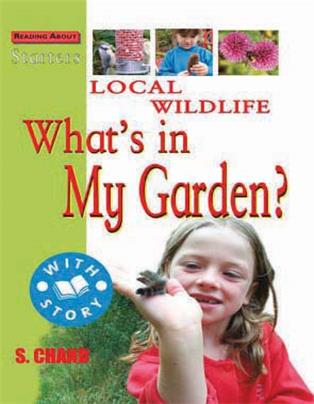 Local Wildlife