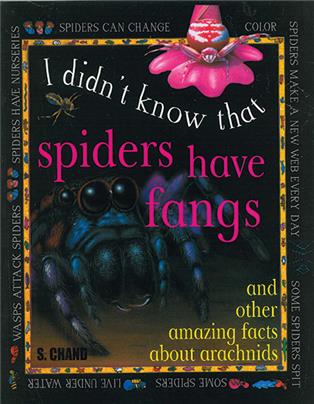 Spiders