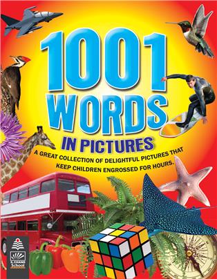 1001 Words in Pictures