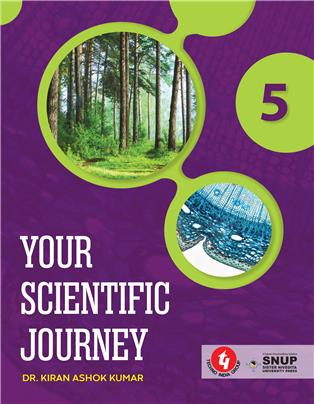 Your Scientific Journey-5