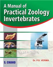 A Manual of Practical Zoology: Invertebrates, 2/e 