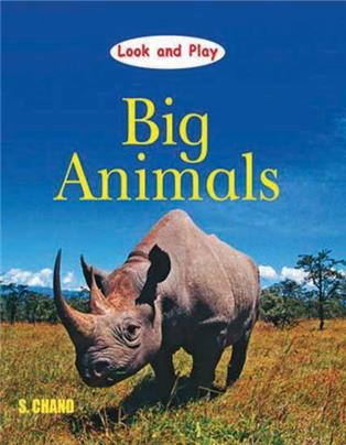 Big Animals