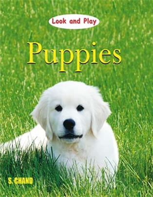 Look and Play - Puppies