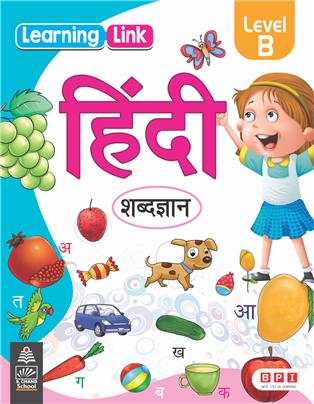 Learning Link Hindi B